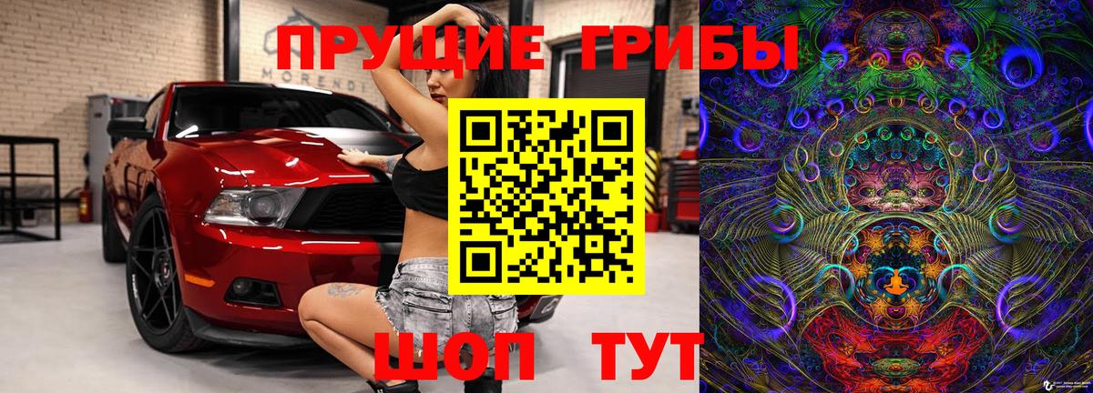 Галлюциногенные грибы ЛСД Гай
